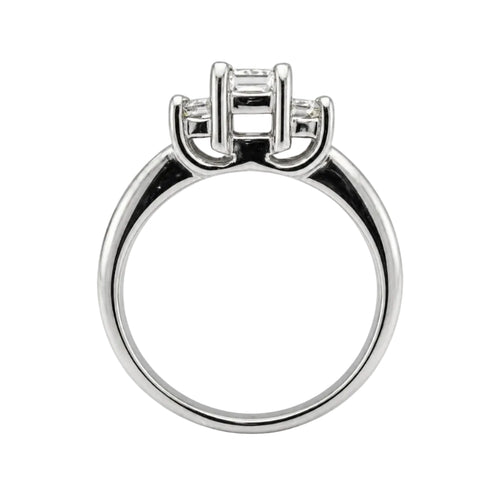 14KW/Platinum Natural Diamond 3 Princess Cut Engagement Ring